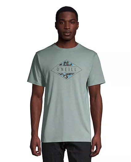 O'Neill Men's Foundation T Shirt. Image via Sport Chek.