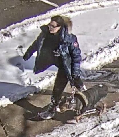 <p>Toronto Police</p> The dog and owner who were reportedly involved in the Little Norway Park incident