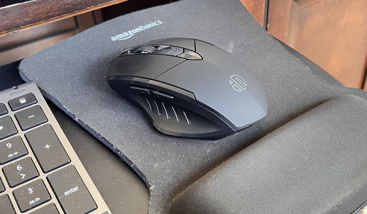 computer mouse