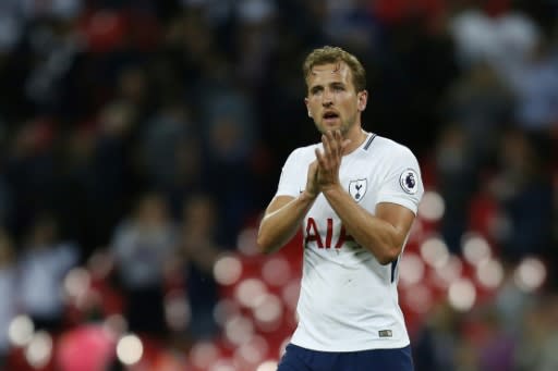 Crowd pleaser: Tottenham's Harry Kane