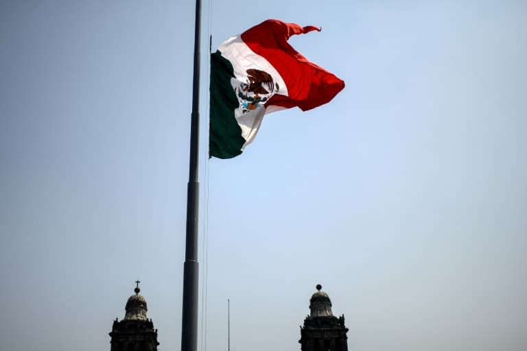 Le drapeau mexicain. - PEDRO PARDO © 2019 AFP