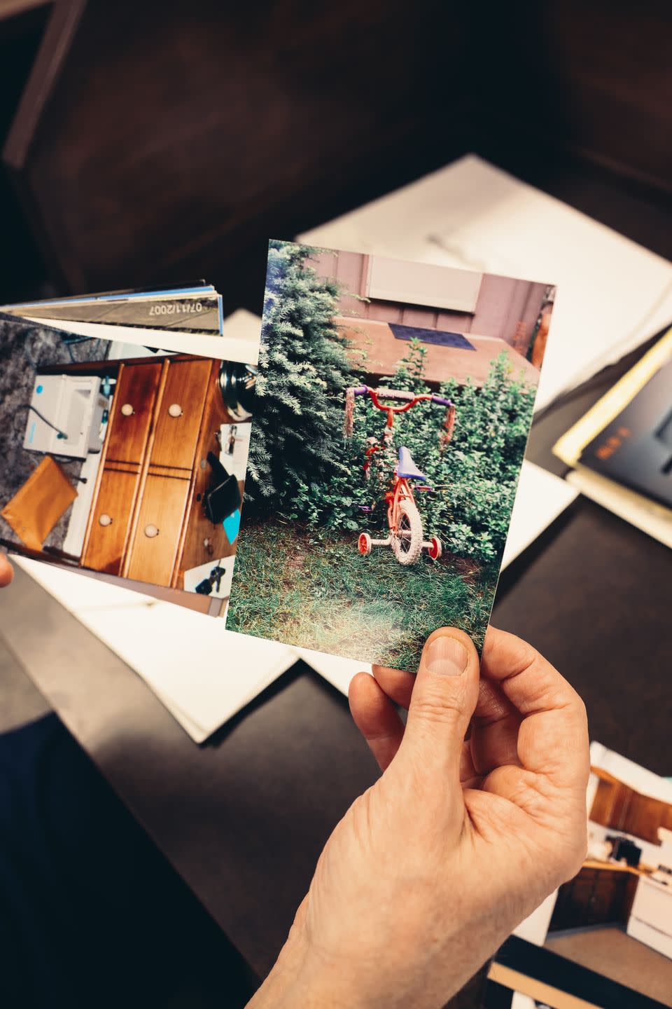 a hand holding a picture of a tree