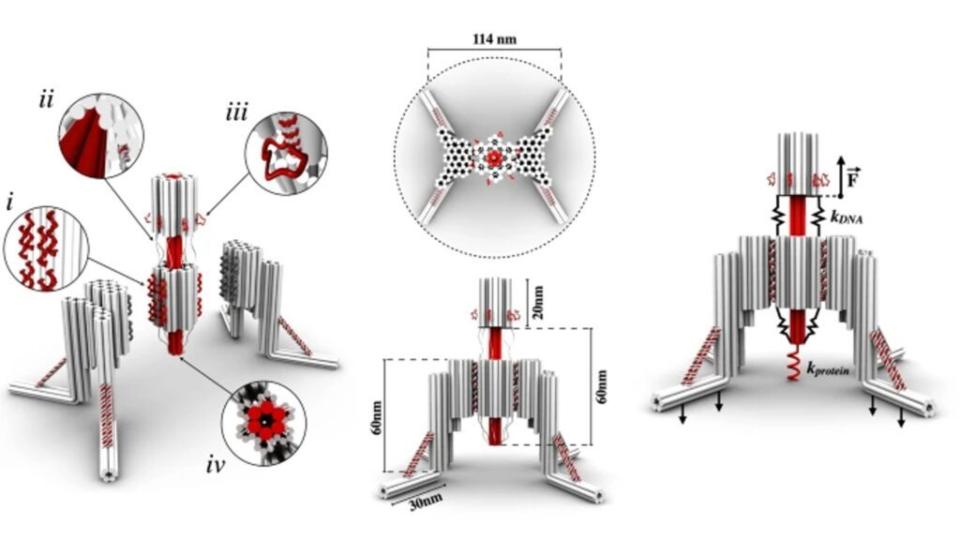 nanorobotADN_inserm