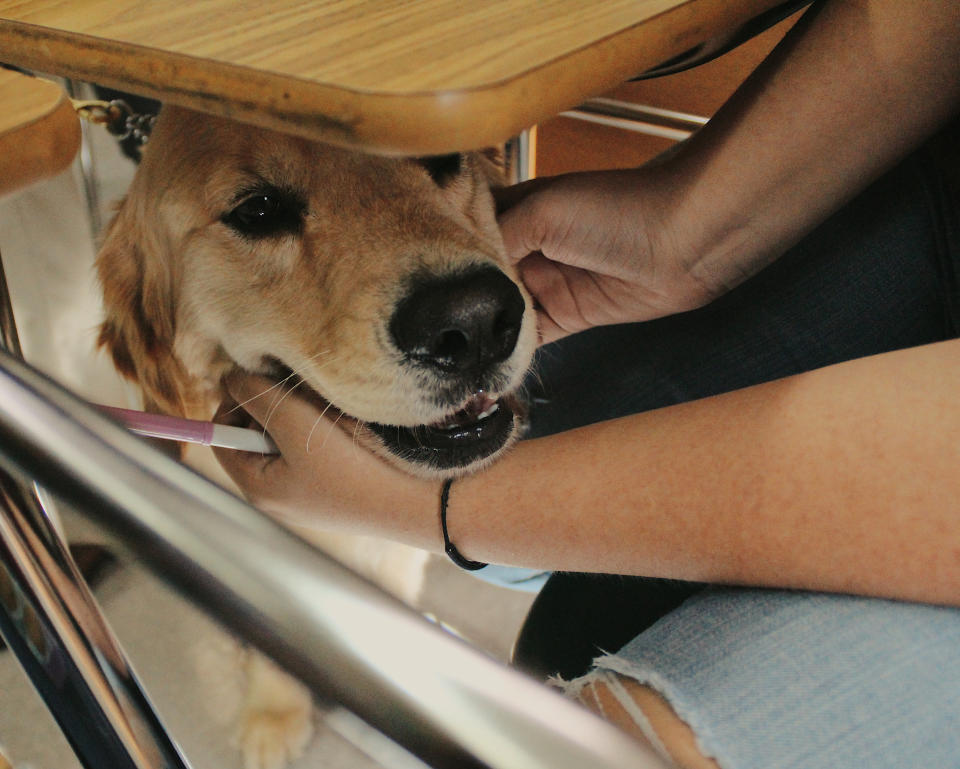 After the school reopened, comfort dogs—like this one named Jacob—were brought in for the students.