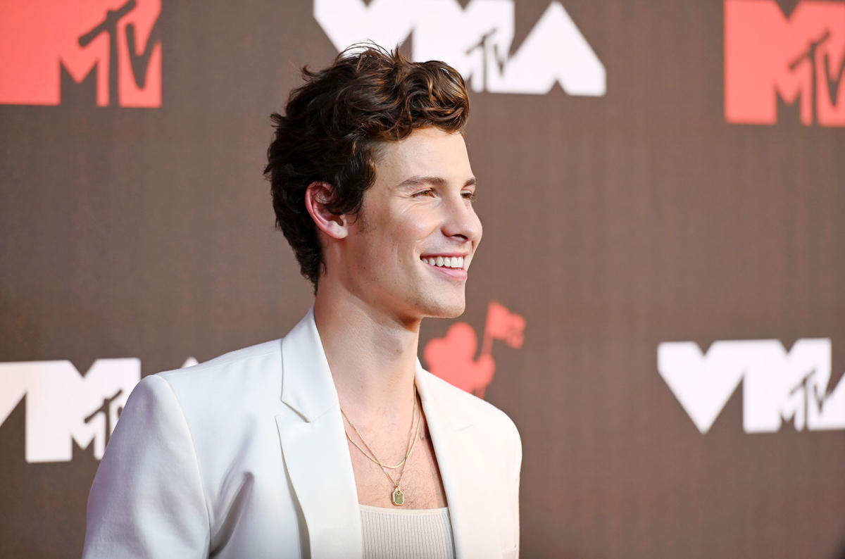 Shawn Mendes Returns With 'When You're Gone': Watch the Music Video