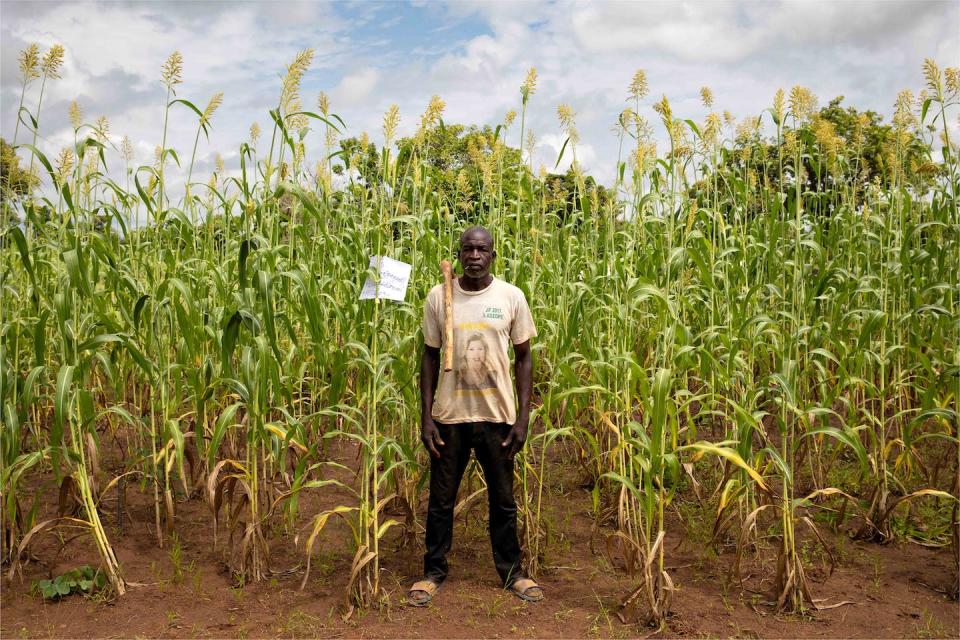 À Saaba (Burkina Faso), Tiraogo tente de concevoir un « zaï amélioré ». Avec l’appui des chercheurs de l’INERA, il compare dans son champ expérimental plusieurs stratégies d’implantation (zaï mécanisé vs manuel) et d’amendement des poquets (fractionnement entre matière organique et minérale). Raphael Belmin/CIRAD