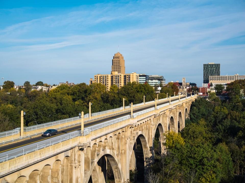 Large bridge surrounded by trees with tall buildings in background.