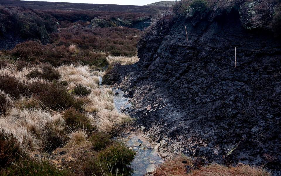 This area of The Peak District is so badly scarred by water run-off it has become known as 'the trenches' - Alixandra Fazzina