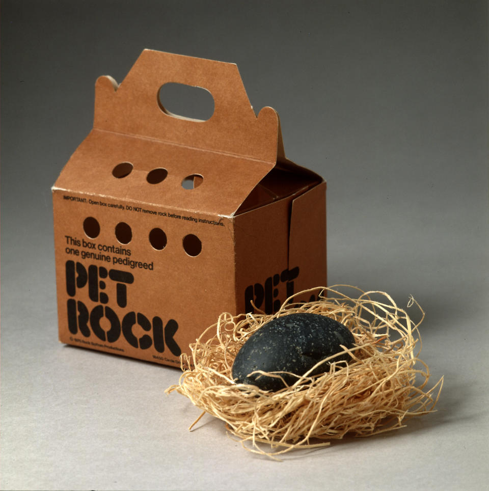 Pet Rock – eine kuriose Geschäftsidee, die Erfolg hatte (Bild: Getty Images)