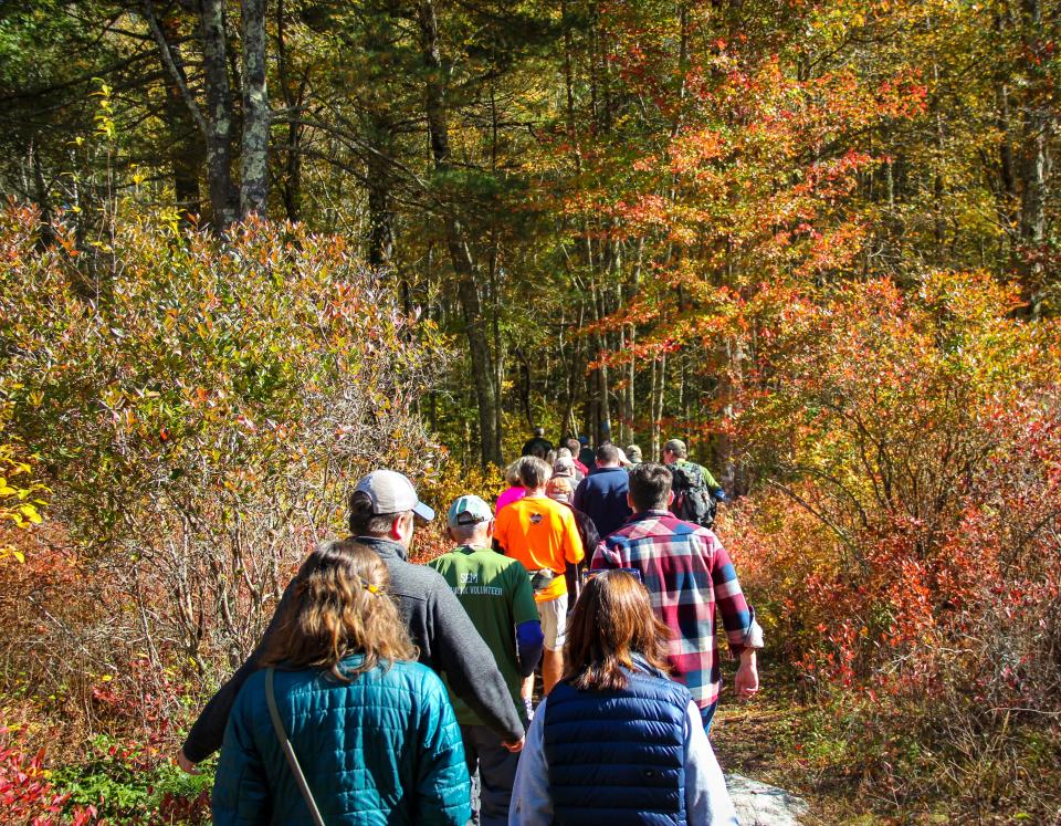 Hikers enjoy a trail in the Southeastern Massachusetts Bioreserve in Fall River, on Wednesday, Oct. 19, 2022.