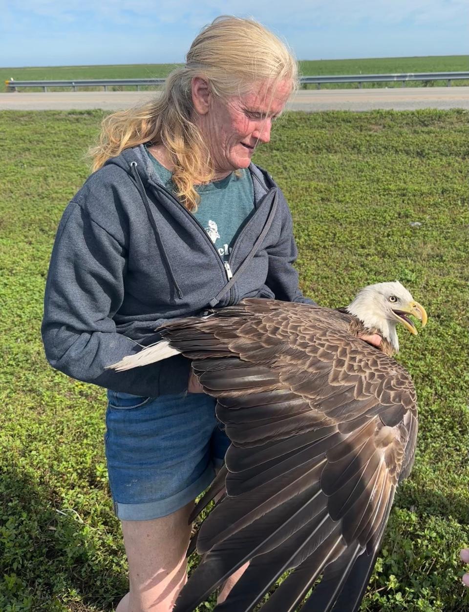 Tammy Rubio, who owns the Misfit Island rescue shelter, helped to save the a bald eagle found on State Road 80 on Thursday, April 4, 2024.