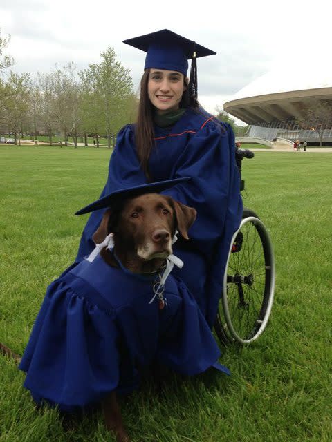 Hero, the super service dog!