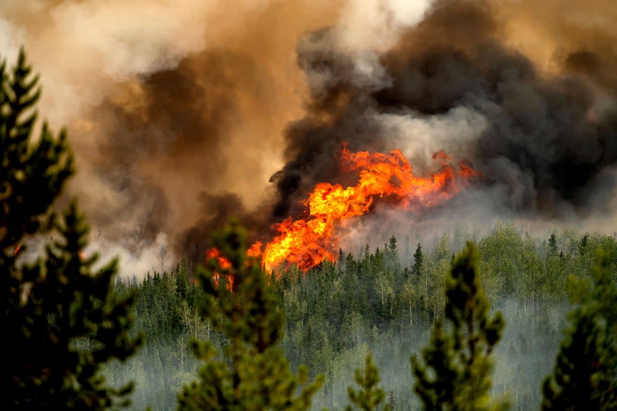 Flames from the Donnie Creek wildfire burn along a ridge top north of Fort St. John, British Columbia, earlier this month (AP)