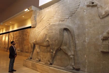 A man looks at ancient Assyrian human-headed winged bull statues at the Iraqi National Museum in Baghdad February 28, 2015. REUTERS/Khalid al-Mousily