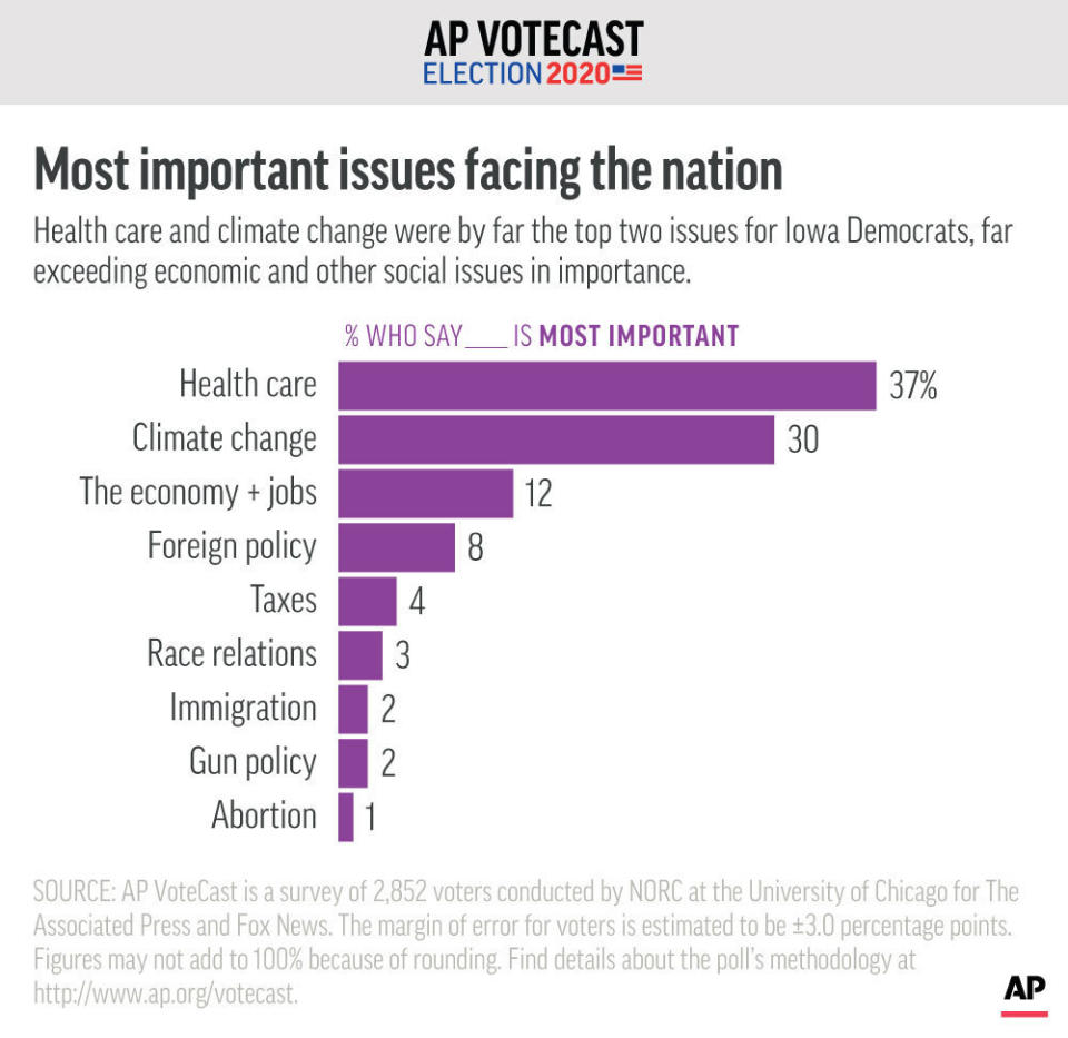 Iowa's Democratic voters identify the issue they see as most important in the country today, according to AP VoteCast.;