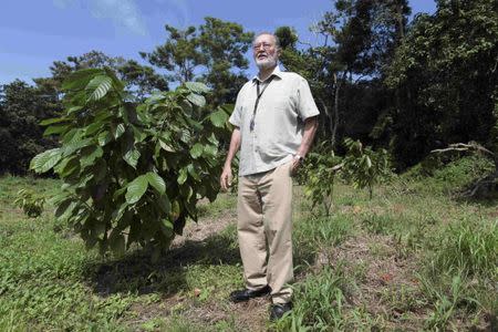 Prudo Jimenez stands next to a cocoa plant in Arecibo, Puerto Rico, November 2, 2016. REUTERS/Alvin Baez