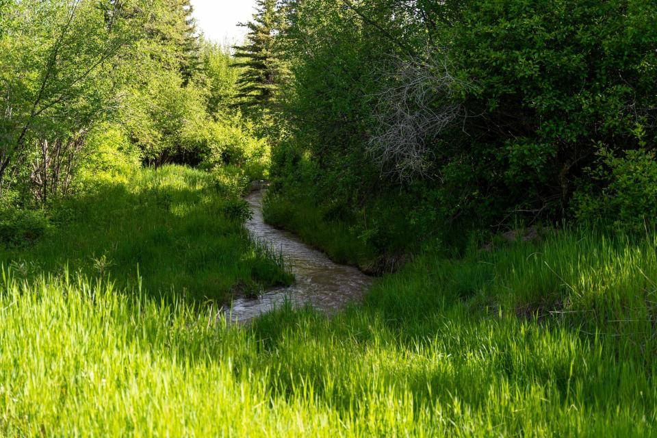 A creek on a large property in Colorado.