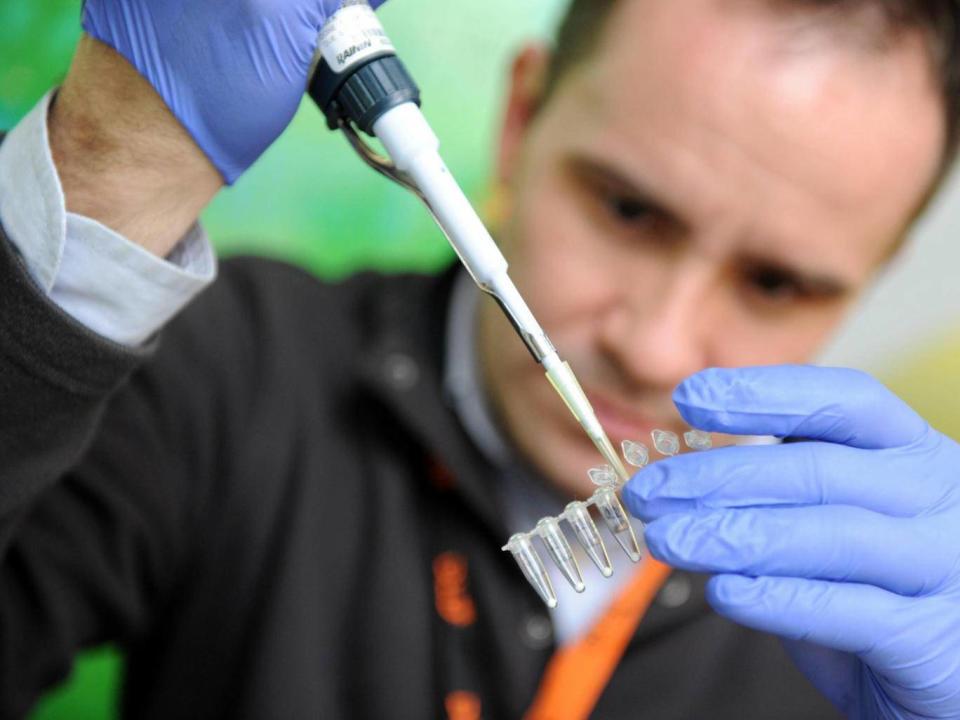 A Genspace researcher puts DNA into a tube during a conference in Germany (Alamy)