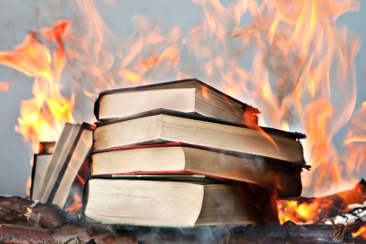‘We’re worried about the increasing temperature of culture wars, together with rising parental concern around what children are reading in school libraries’ (iStock)