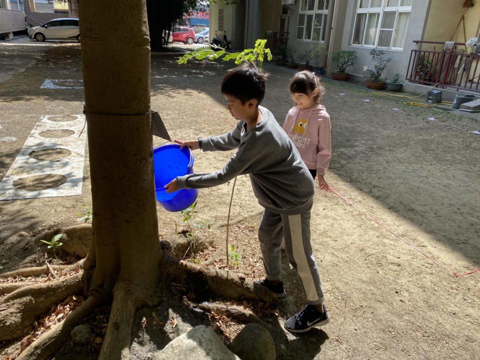 嘉義縣小學教導學生收集洗手後的廢水澆灌植栽。   圖：嘉義縣政府/提供