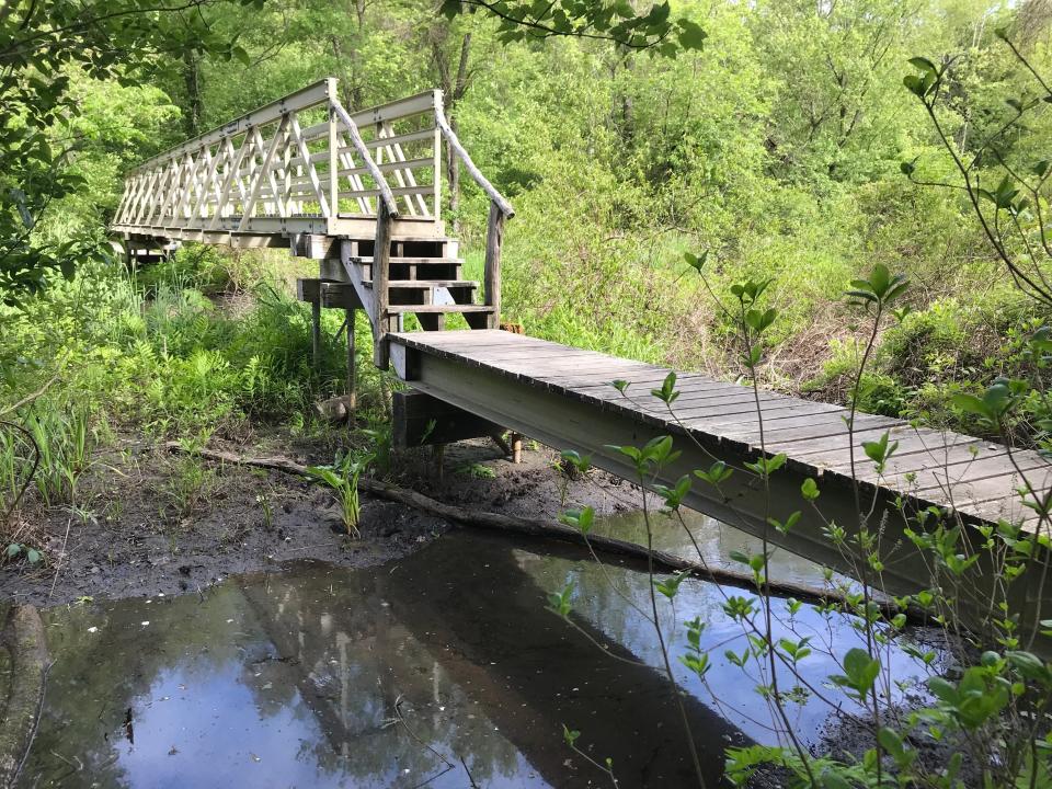 A boardwalk and elevated bridge cross swampy lowlands and the Tomaquag Brook in the Grills Wildlife Sanctuary.