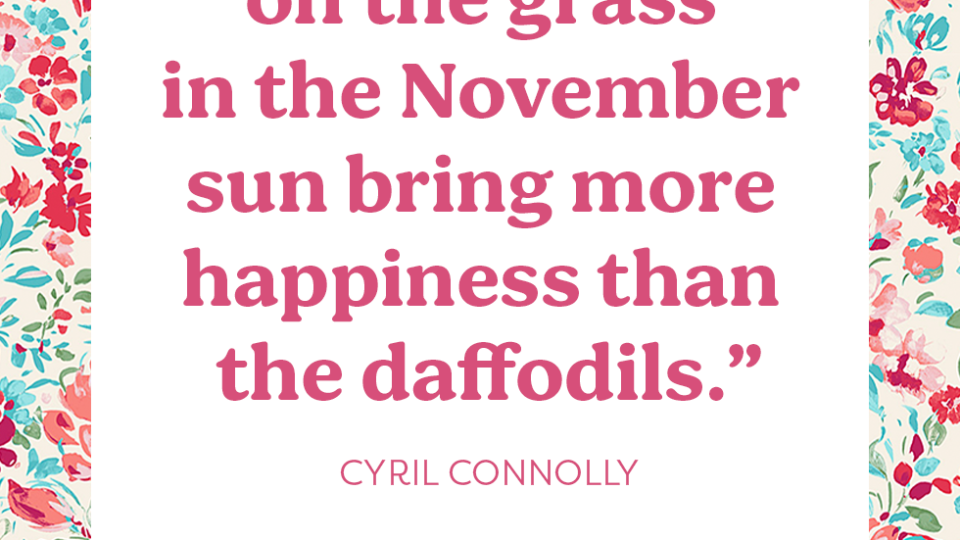 best november quotes