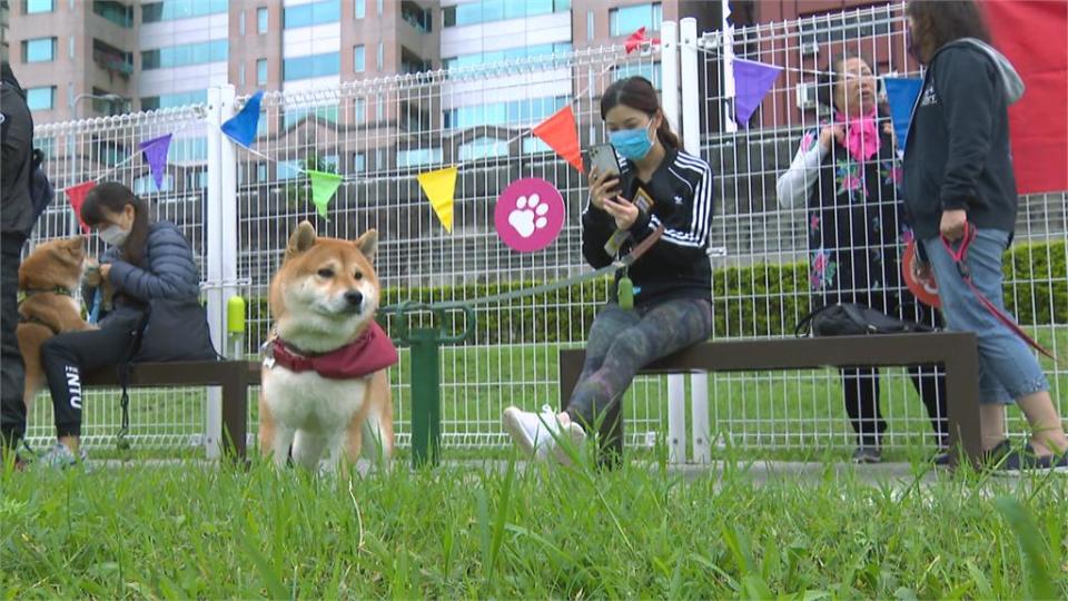 努力追上！台北第8座狗公園啟用 隔壁新北17座 河濱公園「兩岸」差很多