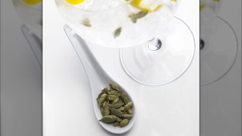 cardamom pods gin tonic