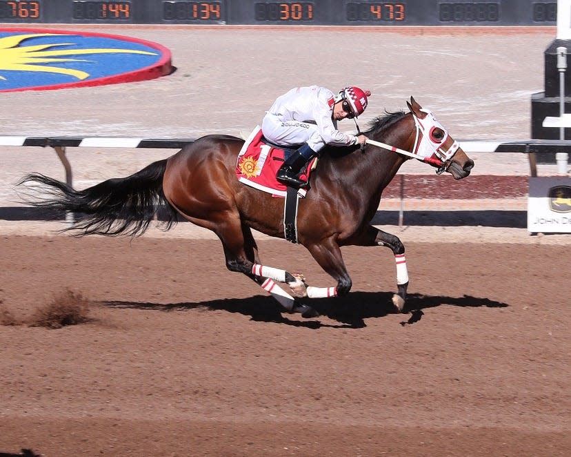 Jockey Mario Delgado gives a look across the track as he crosses the finish line ahead of his rivals aboard Bigg Dee in the Mesilla Valley Speed Handicap, Feb. 12, 2022 at Sunland Park Racetrack and Casino.
