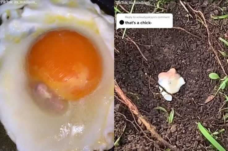 女子煎蛋時，赫然發現蛋裡有雛雞，直接將整個蛋埋在土裡下葬。（圖／翻攝自太陽報）