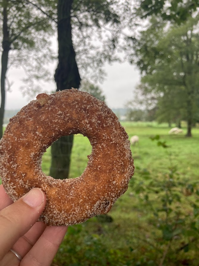 A cider donut from the Hard Pressed Cider Company in Jamestown.