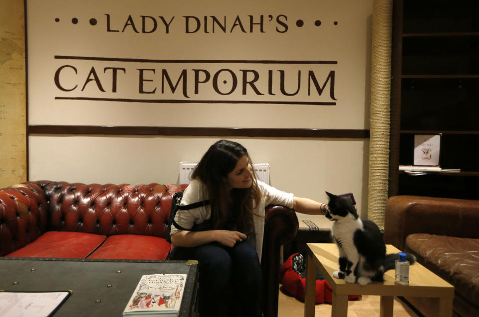 A visitor strokes a cat in the newly opened Lady Dinah's Cat Emporium in London, Friday, April 4, 2014.Feline company is exactly what one of London’s newest cafes is offering _ and stressed-out city-dwellers are lapping it up. “People do want to have pets and in tiny flats, you can’t,” said cafe owner Lauren Pears, who opened Lady Dinah’s Cat Emporium last month in an area east of the city’s financial district. (AP Photo/Sang Tan)