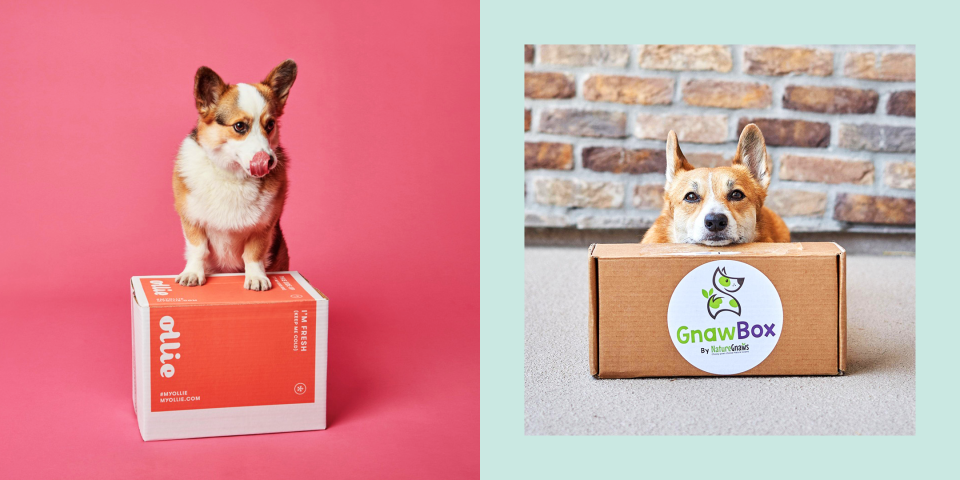 Pet Parents, These Dog Subscription Boxes Will Save You Time and Money