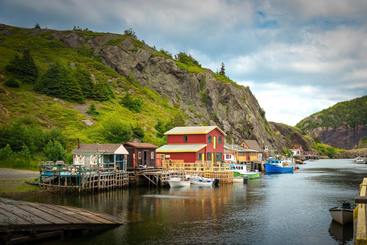 St. John's windswept shores and rugged coastline provide an ideal backdrop for wilderness walks and opportunities to encounter native wildlife.