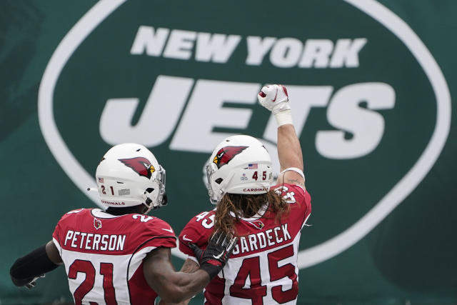 Arizona Cardinals linebacker Dennis Gardeck (45) during an NFL football  game against the Detroit Lions, Sunday, Sept. 27, 2020, in Glendale, Ariz.  (AP Photo/Rick Scuteri Stock Photo - Alamy