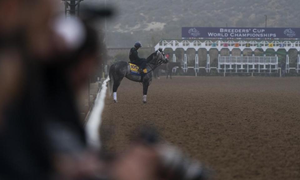 <span>Photograph: Jae C Hong/AP</span>