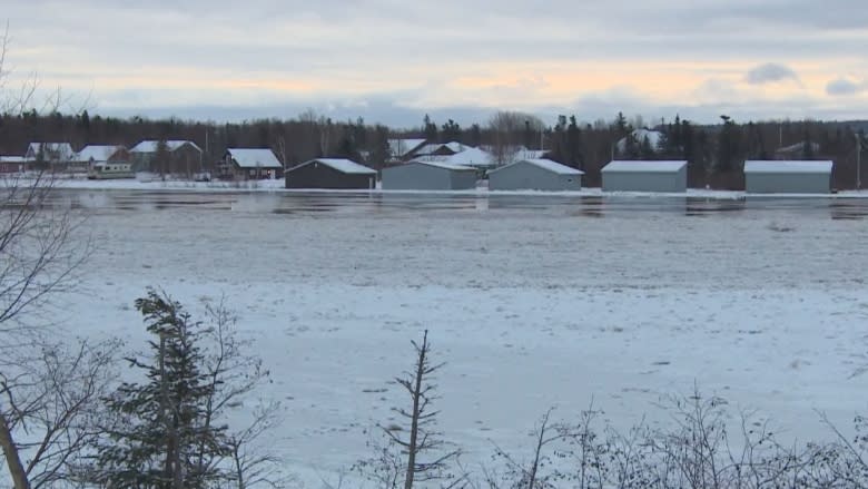 Deer Lake, N.L., holding off on evacuation order after water levels dip, but more ice is on the way