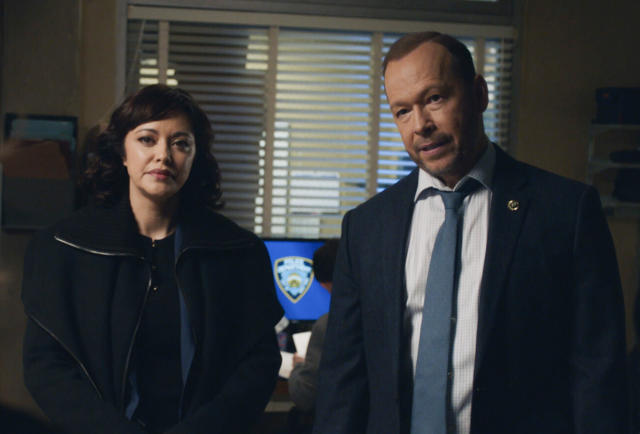 blue bloods season 14: Blue Bloods Season 14: Here's why the creators  decided to end the series - The Economic Times