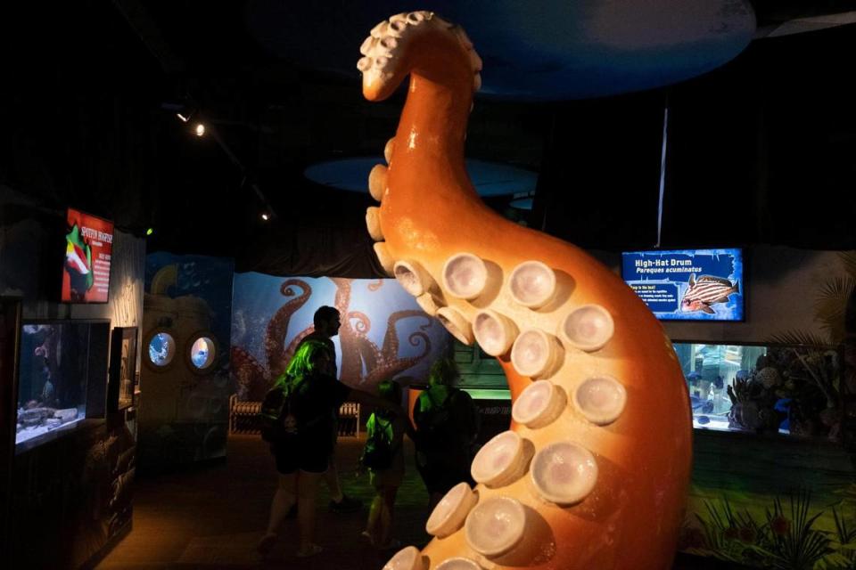 Guests to Ripley’s Aquarium in Myrtle Beach look at Octopus and other undersea life in the Living Gallery. Ripley’s Aquarium is celebrating their 25th year of entertaining and educating guests in Myrtle Beach. June 15, 2022.