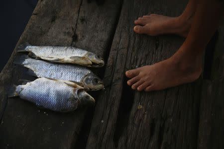 A woman stands next to fish which were left on the dock of her stilt house in the village of Ologa in the western state of Zulia October 23, 2014. REUTERS/Jorge Silva