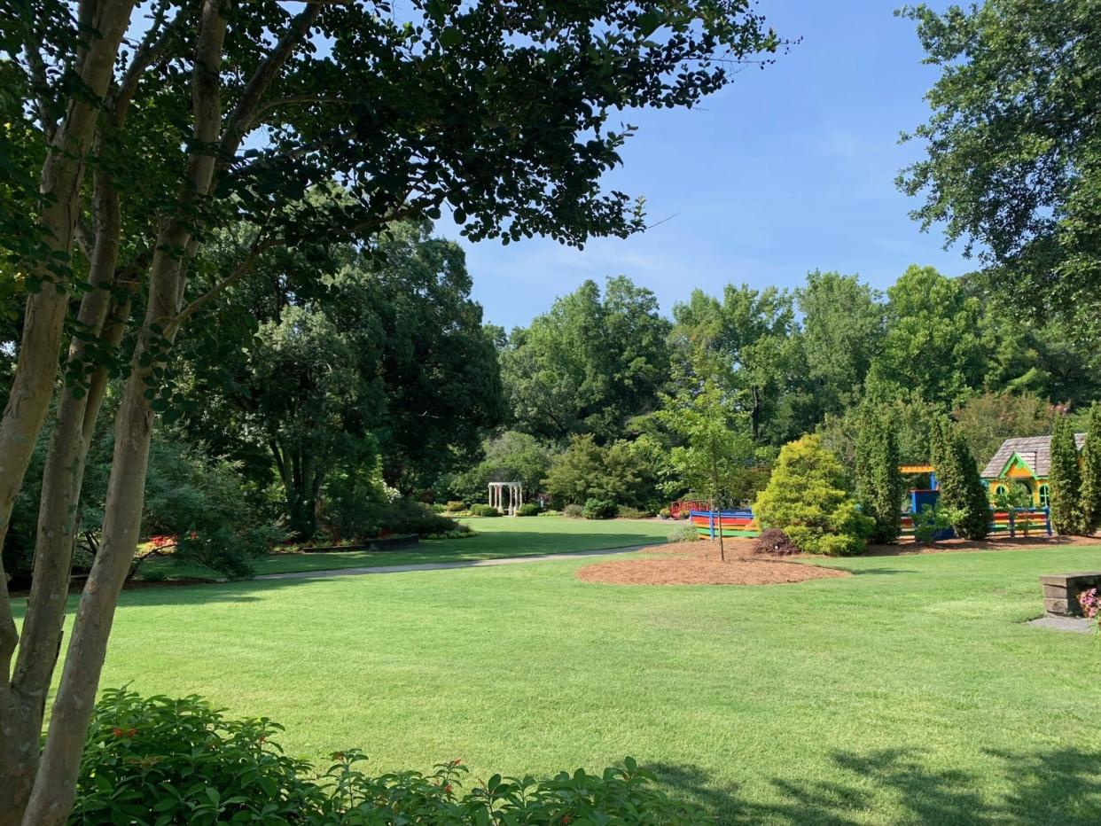 New Hanover County Arboretum's lawn.