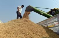 Once the harvest is taken in from the paddy fields, stubble burning begins in earnest