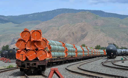 Steel pipe to be used in the oil pipeline construction of Kinder Morgan Canada's Trans Mountain Expansion Project sit on rail cars at a stockpile site in Kamloops, British Columbia, Canada May 29, 2018. REUTERS/Dennis Owen