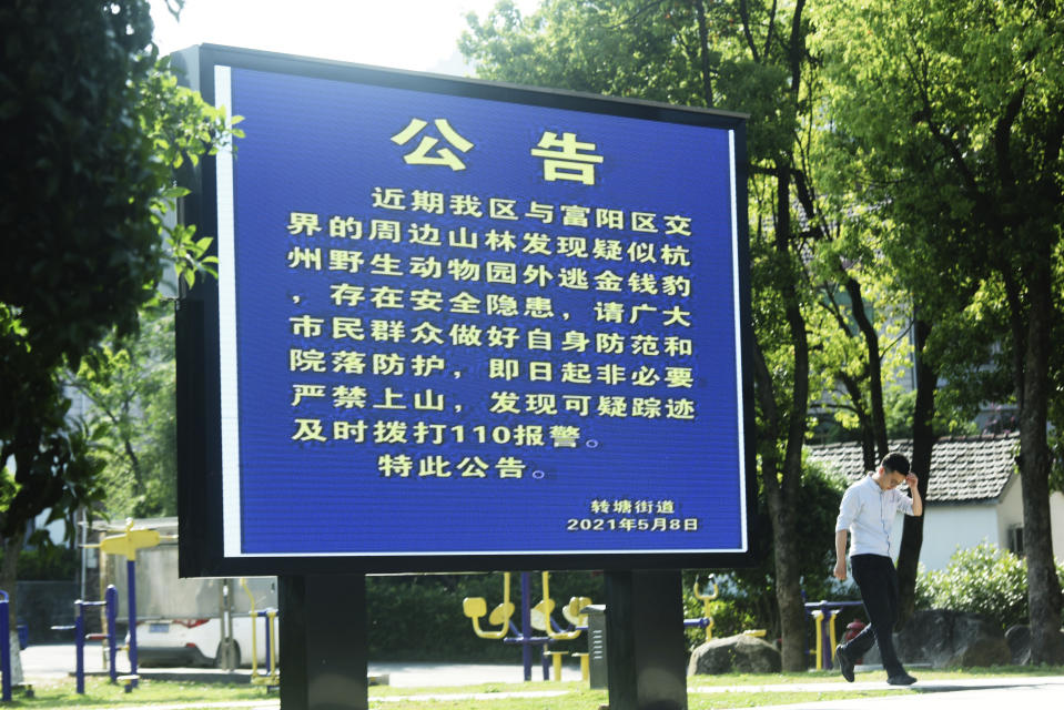 A resident passes by a display warning residents about the dangers of a suspected runaway leopard in the area in Hangzhou in eastern China's Zhejiang province Sunday, May 9, 2021. A search for the last of three leopards that escaped from a safari park in eastern China was ongoing, authorities said Monday, May 10, 2021 as the park came under fire for concealing the breakout for nearly a week. (Chinatopix via AP)