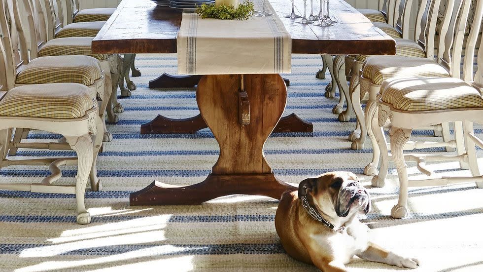 a dog sitting on the floor in a dining room with a chandelier and chairs