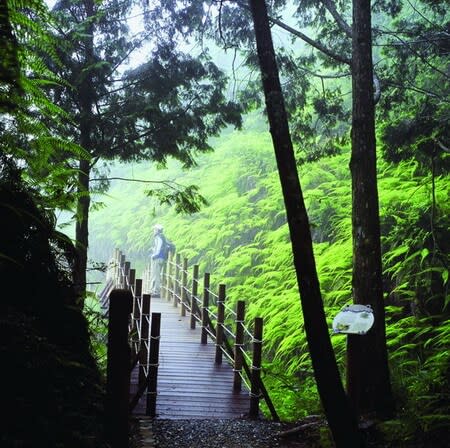 翠峰湖環山步道 （圖片提供：羅東林管處）