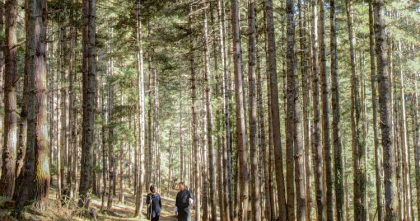 到不丹的「崗提山谷隱世小屋」，可以順道走走自然步道。（圖／全球奢華精品酒店提供，以下同）