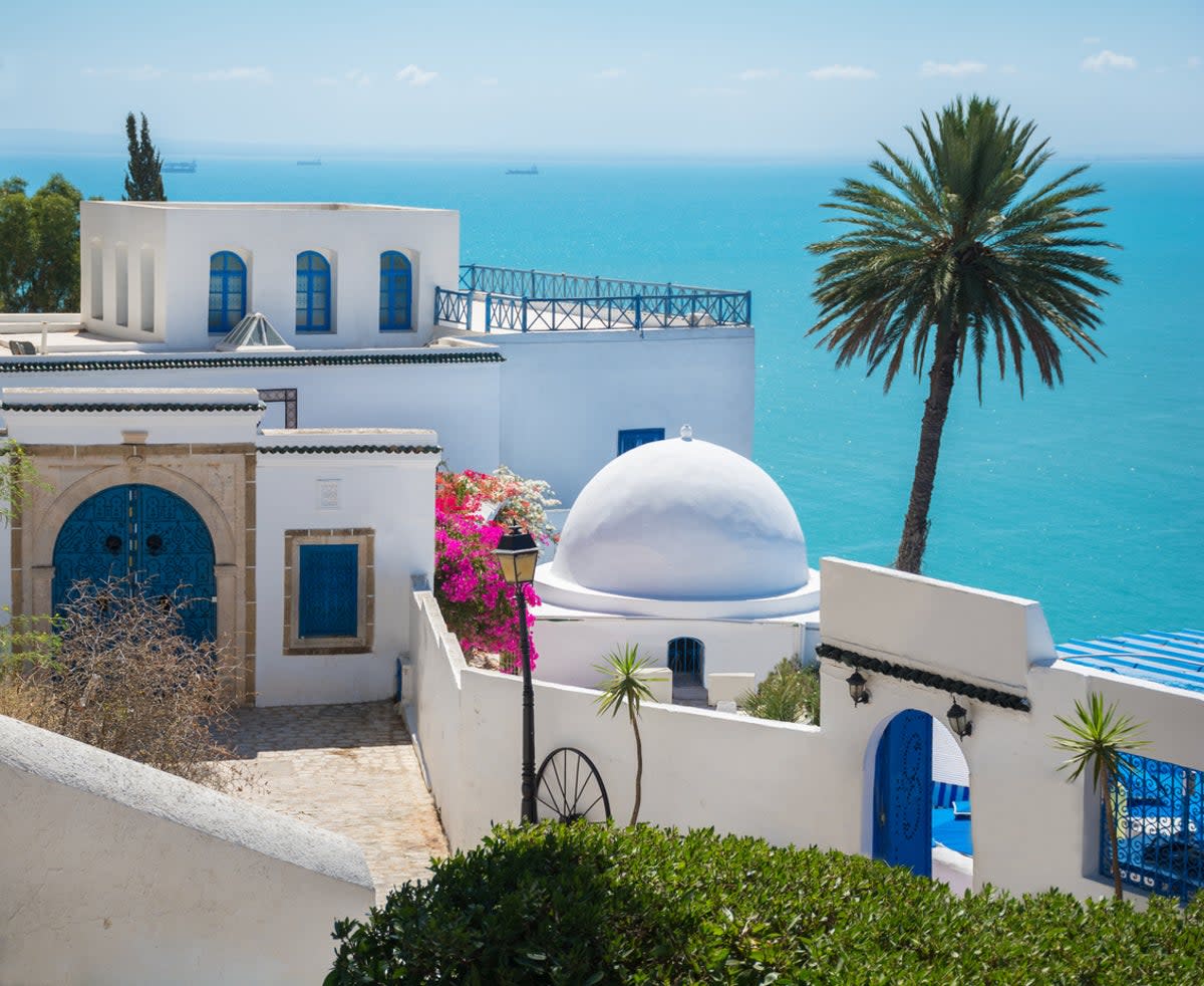 Find a Santorini-esque blue and white colour scheme in Sidi Bou Said (Getty Images/iStockphoto)