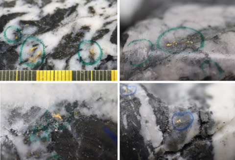 Figure 1: Photos of mineralization from Left: at ~97.6m in NFGC-23-1730, Right: at 59.0m in NFGC-23-1941, Bottom Left: at ~63.3m in NFGC-23-1967, Bottom Right: at ~15.3m in NFGC-22-914 ^Note that these photos are not intended to be representative of gold mineralization in NFGC-22-914, NFGC-23-1730, NFGC-23-1941, and NFGC-23-1967. (Photo: Business Wire)