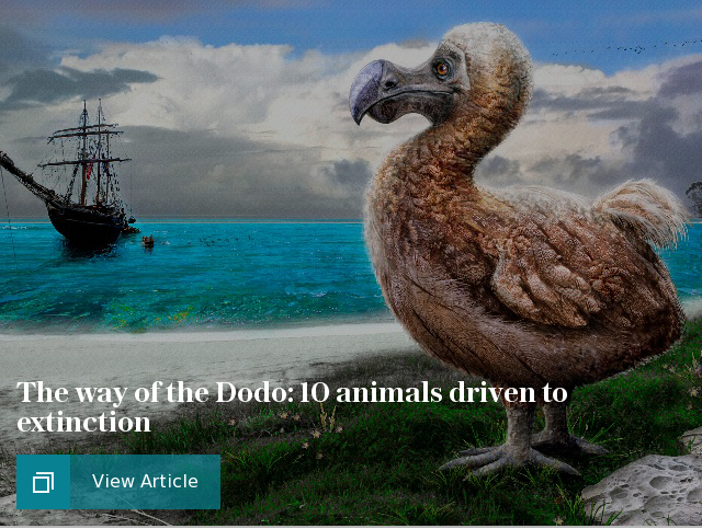 The way of the Dodo: 10 animals driven to extinction